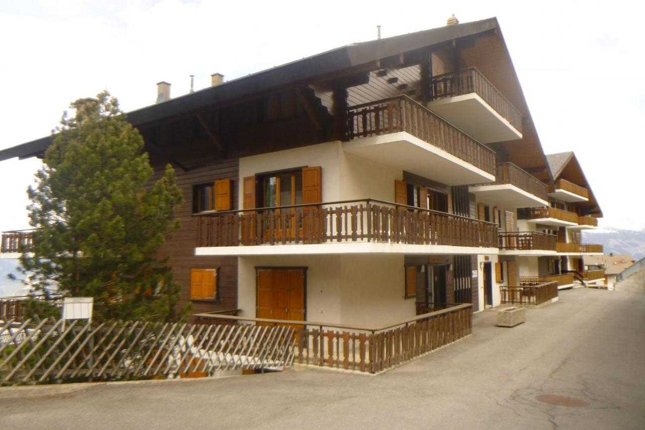 Greppons Cosy & Mountain Apartments By Alpvision Residences Veysonnaz Buitenkant foto