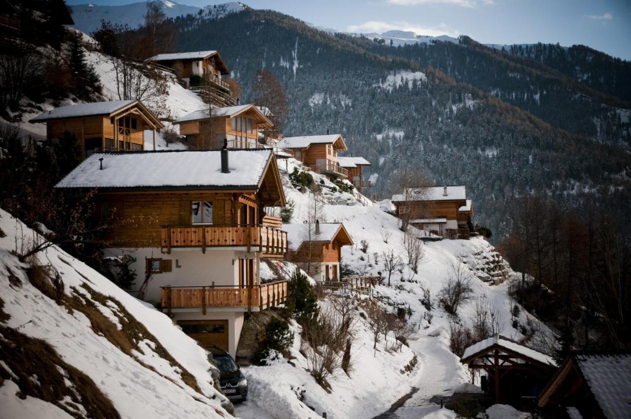 Greppons Cosy & Mountain Apartments By Alpvision Residences Veysonnaz Buitenkant foto